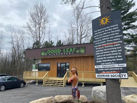 Specialties: Seneca Native Owned Cannabis dispensary Located in Salamanca, NY. Over 30 strains of flower, concentrates, vapes, and much more.